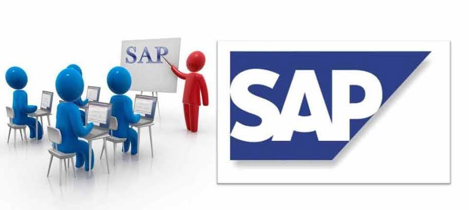 Successful SAP Professional